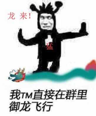 有没有龙王表情包?