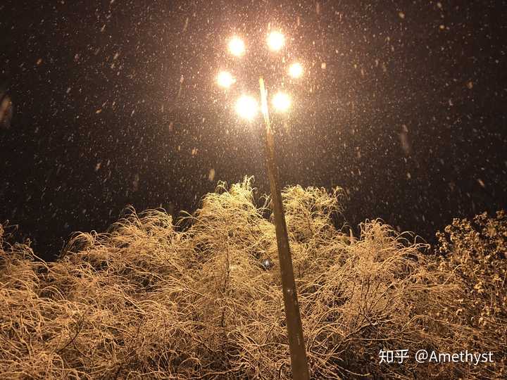 雪花是很难拍清楚的,须借着灯.于是就有这