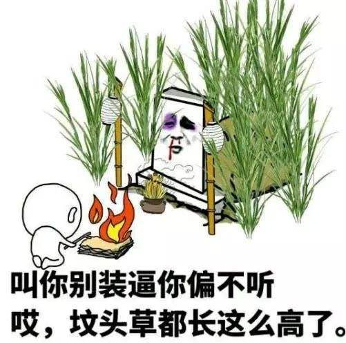 你听过最社会的一句话是什么?