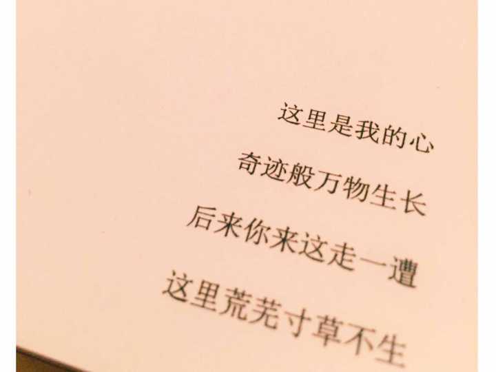 这里是我的心 奇迹般万物生长 后来你来这走一遭 这里荒芜寸草不生.