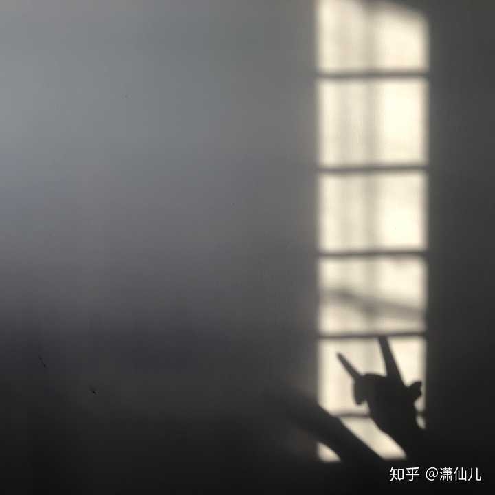 图三图四 :下班回到家后夕阳透过窗户映在墙上的光影和一只可爱手手的