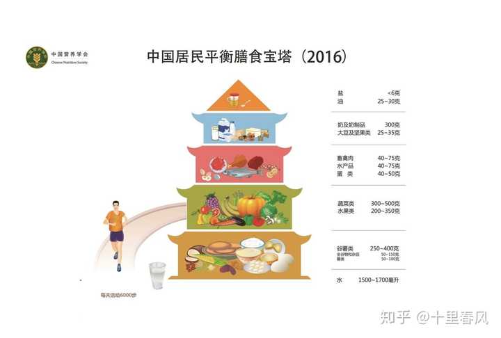 东方膳食结构图