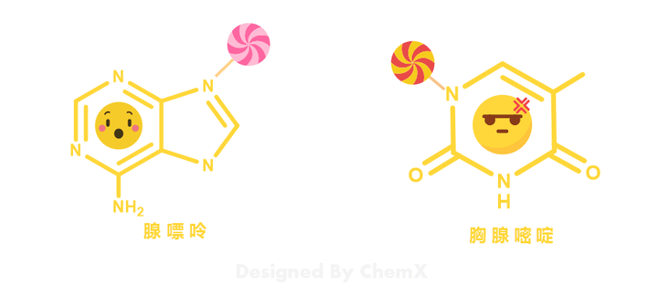 关于化学有什么表情包