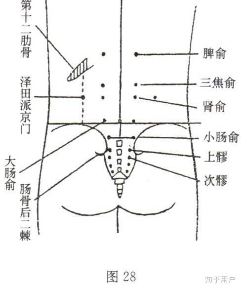 小肠俞与八髎穴(上髎,次髎,中髎,下髎)