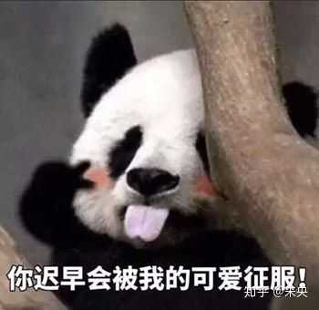 有没有很土或者特别的微信头像和签名看到第一眼就不想加的那种?