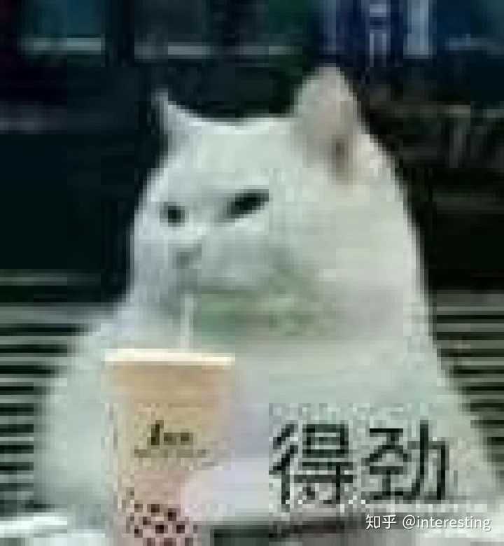 有兄弟有沙雕头像嘛?