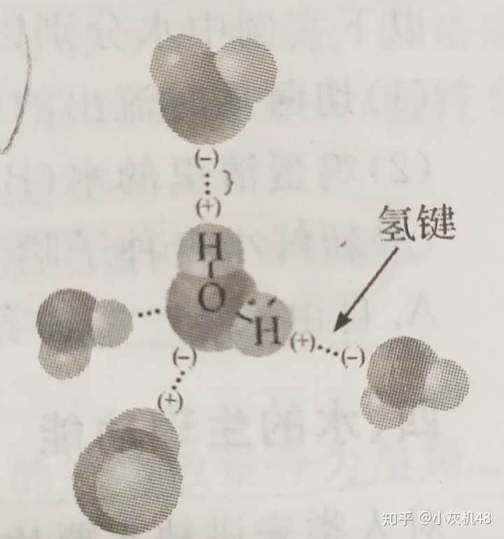 正是因为水分子是极性分子,根据相似相溶原理,水就能与其他极性共价