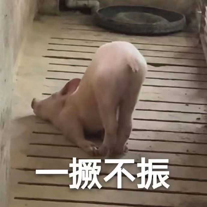 有没有可以在班级群打卡晨练时表达烦躁心情的头像?