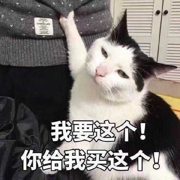 你们有很萌很好看的猫猫表情包吗?