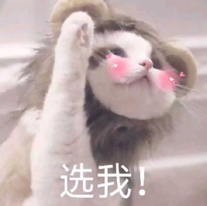 你喜欢用哪些沙雕表情包?