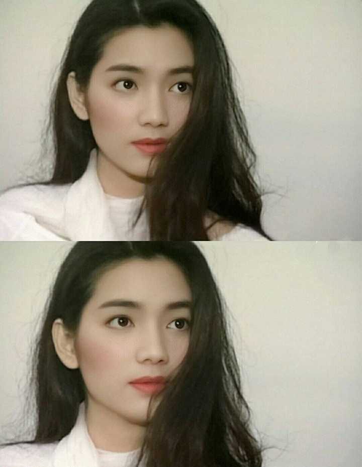 张丹峰和洪欣大家怎么看,结局会是?