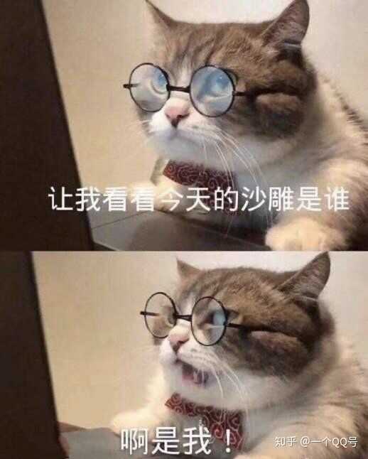 有哪些沙雕又可爱的朋友圈文案?