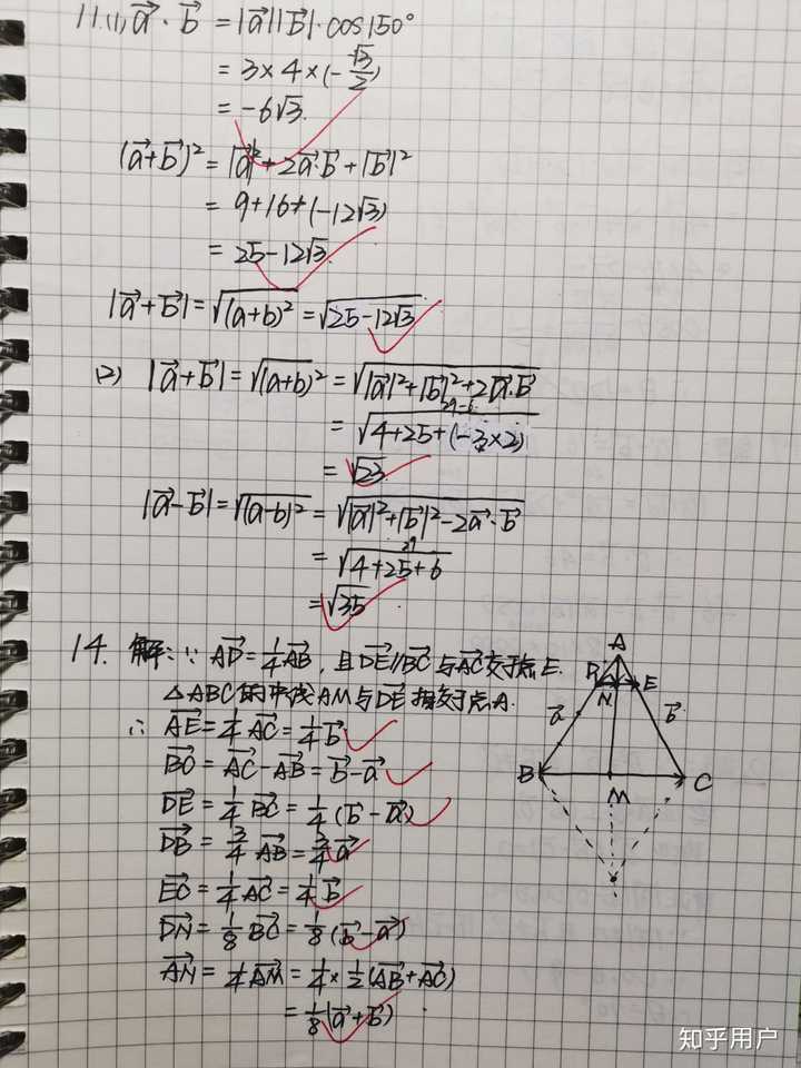 高一 数学作业