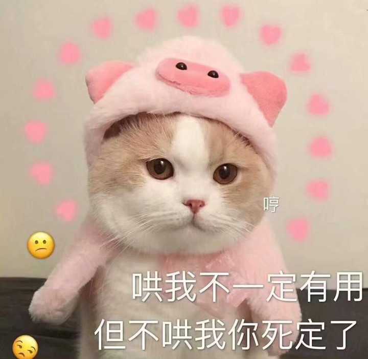 有哪些适合情侣间聊天使用的表情包?