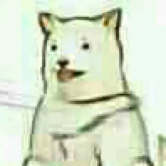 大家都换过哪些奇怪的qq头像?