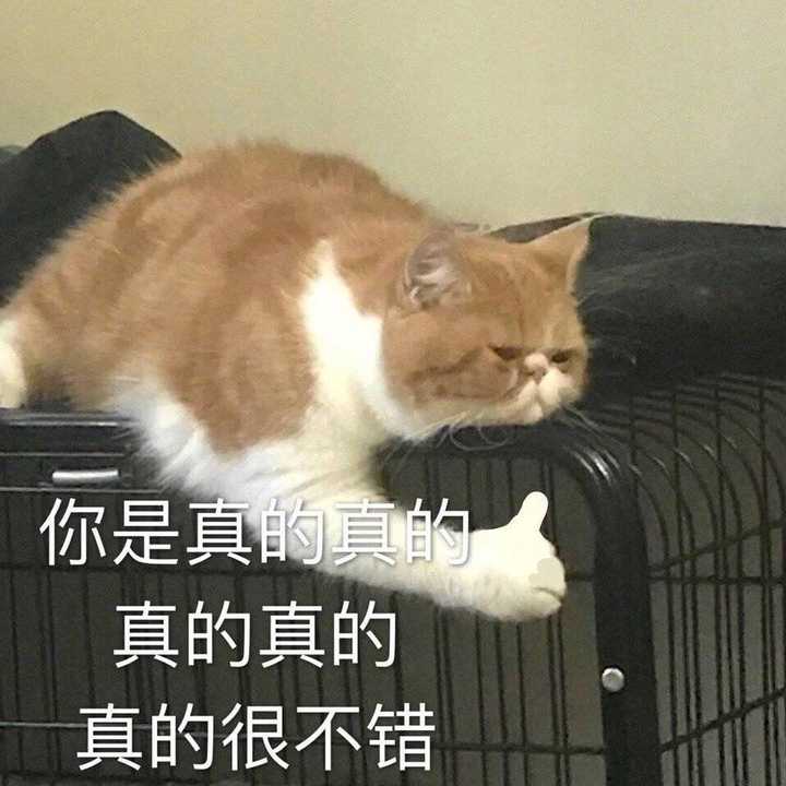 我是真的真的很不错!