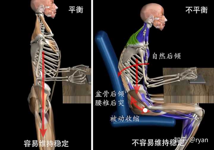 长时间挺直腰板坐着对健康有什么影响为什么走路的时候挺直腰板就没事