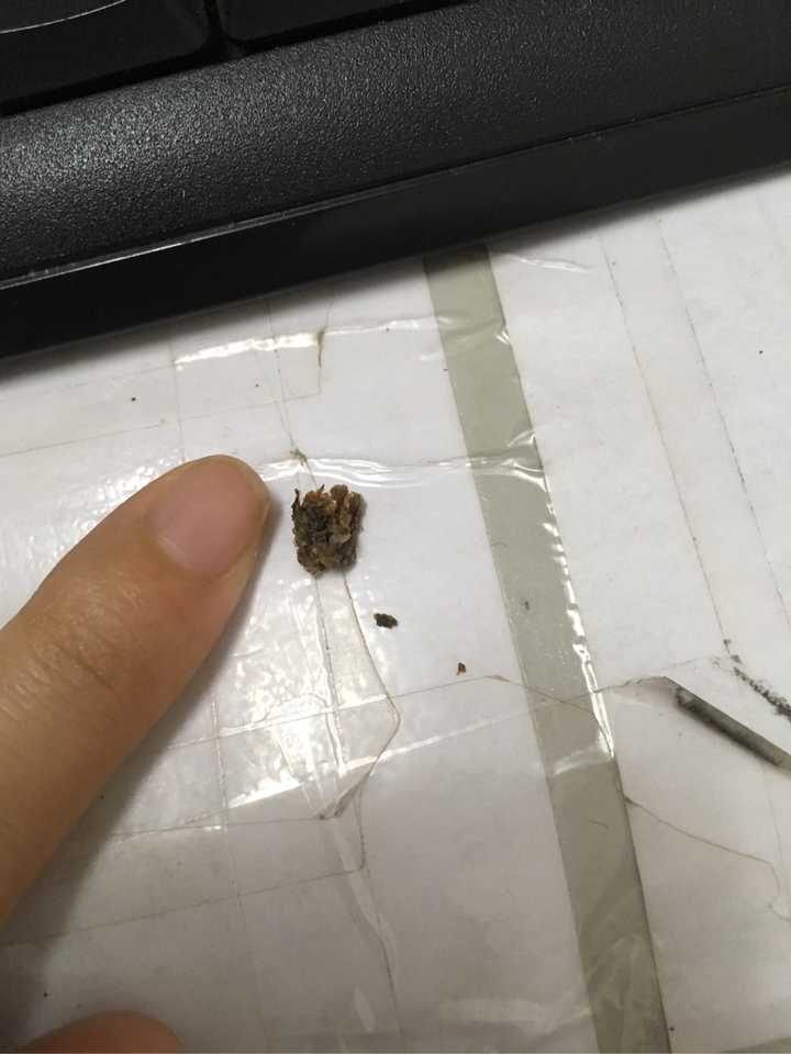 朋友说我肚脐好脏 中午在知乎看到这个问题推荐 一边看评论一边找东西