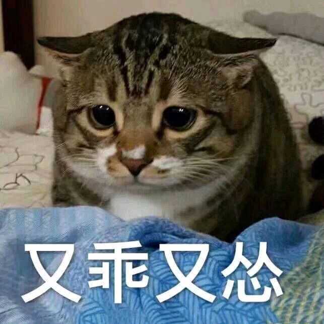 我想知道秦霄贤何九华所有事,脑子有点乱,求大神告知发生什么事了?