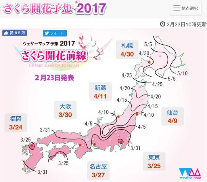 日本三月樱花比较偏门的观赏地点有哪些?