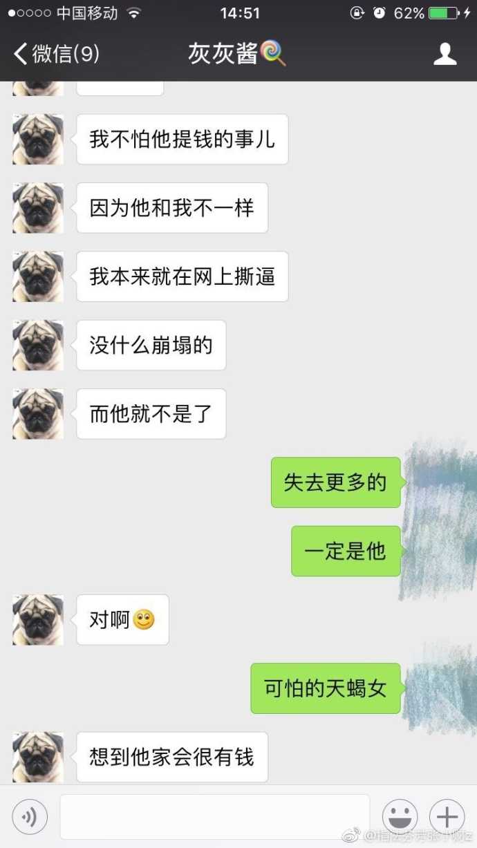 如何评价灰灰不鸽?