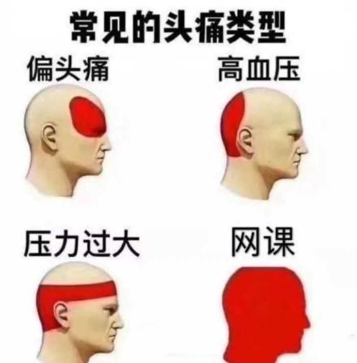 关于网课你有哪些沙雕头像安利?