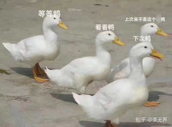 这是你变好路上的四只拦路鸭