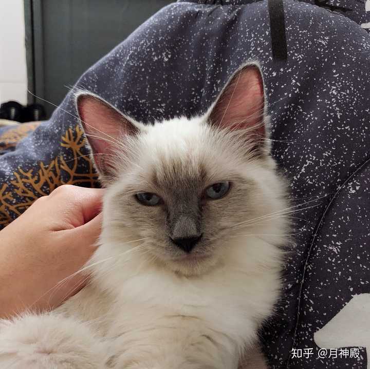 学生路边捡到两万元 调查发现竟是失主自己扔的 失主:我做了个梦