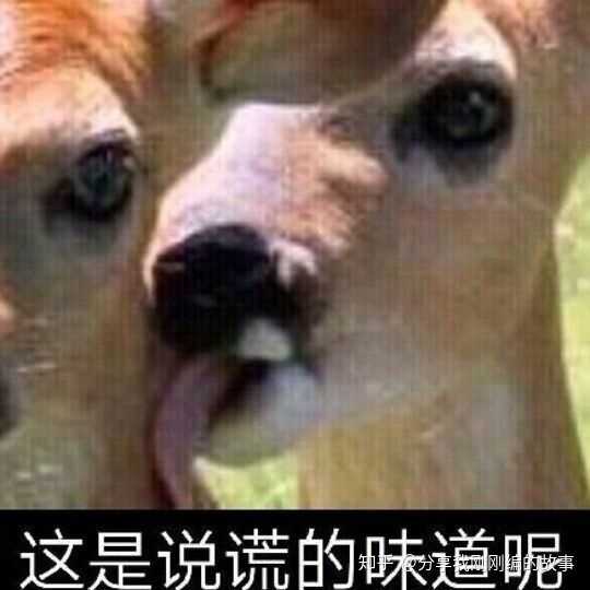 是说谎的味道呢,乔鲁诺乔巴拿