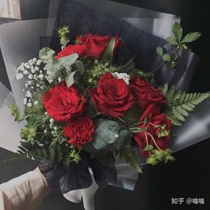 红玫瑰配尤加利好看还是配银叶菊好看?