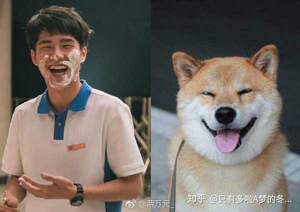 为什么黄渤和刘昊然的头像都是柴犬