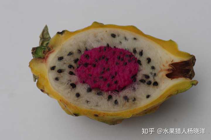 "将心比心",可以看出红肉火龙果和燕窝果的果肉典型区别