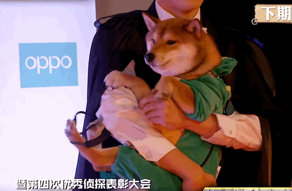 有哪些动图让你心动?