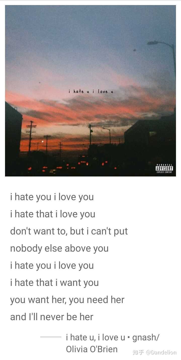 《i hate you i love you》