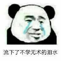 有没有一个万能表情包可以回复所有问题?