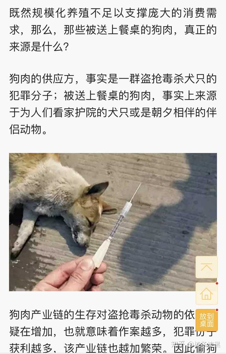 呼吁不吃狗肉的时候,总有人质疑说那你干嘛吃猪肉牛肉