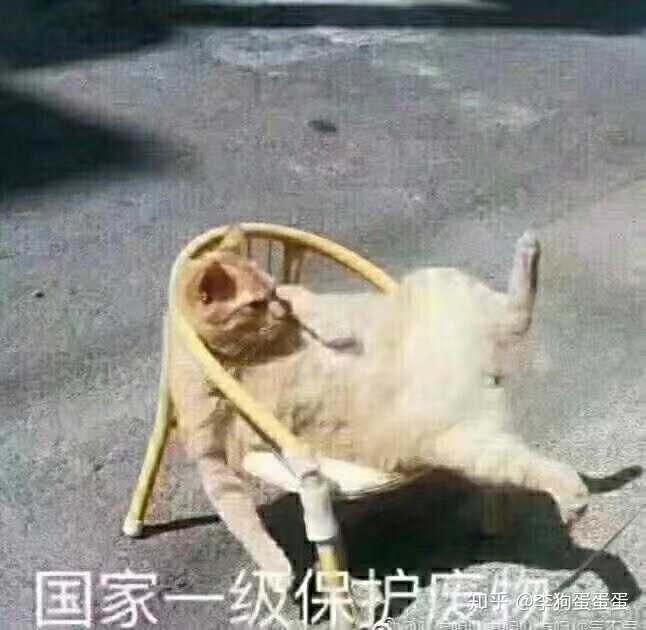 怎么才能不当舔狗?