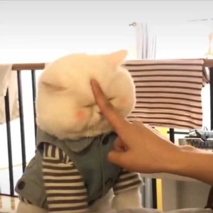 有没有类似这种的动物又沙雕又可爱的头像?