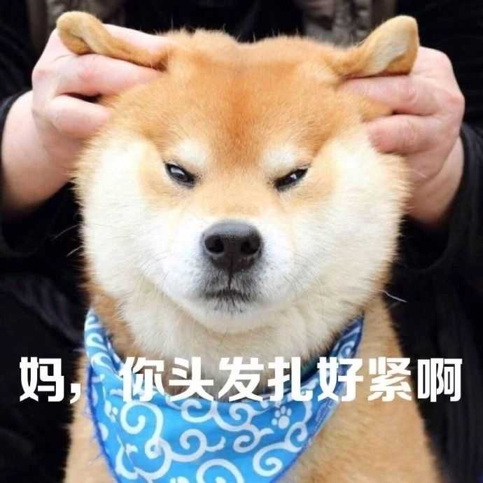 有哪些女生沙雕头像?