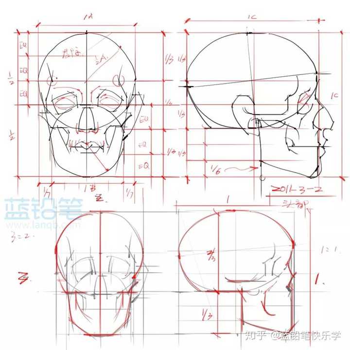 有什么快速理解人体结构的方法吗?