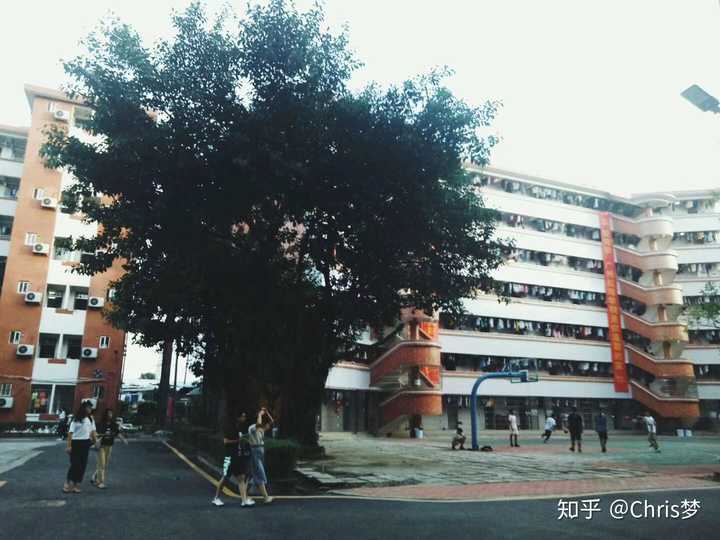 广州航海学院琶洲校区怎么样?