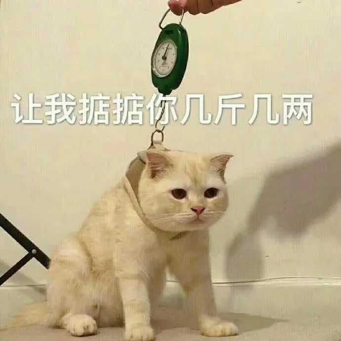 有哪些沙雕表情包?