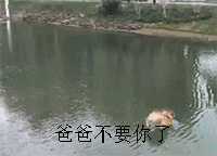 我来啦接住这个表情包怎么回