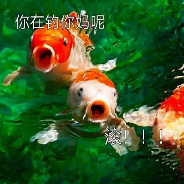 你都存了哪些沙雕表情包