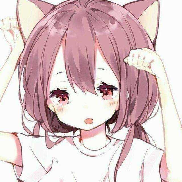 有没有女孩 猫咪的头像?