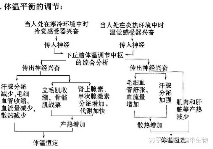 给你看看高中生物体温调节图解.寒冷和炎热情况下都有.