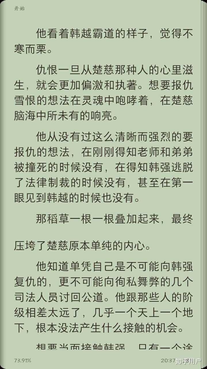如何看待淮上的《提灯看刺刀》中的人物楚慈?