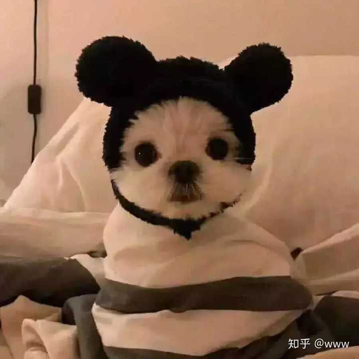 有没有什么很有格调的沙雕头像?