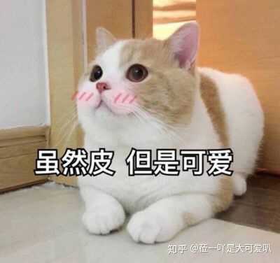 有什么适用于和老公/男票撒娇的可爱表情包?