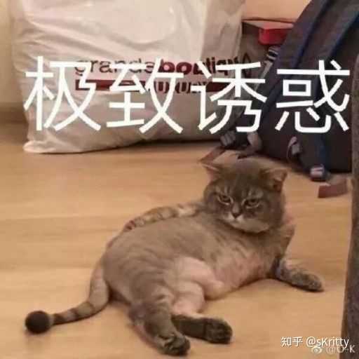 有没有高冷并沙雕的表情包?